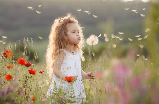 Mała dziewczynka wydmuchuje nasiona mniszka lekarskiego w powietrze na kolorowej łące pełnej kwiatów.