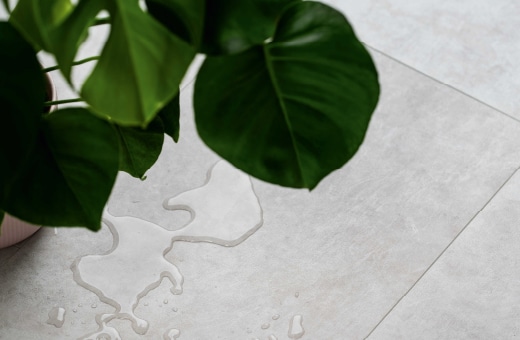 Zbliżenie zielonych liści na jasnej podłodze winylowej